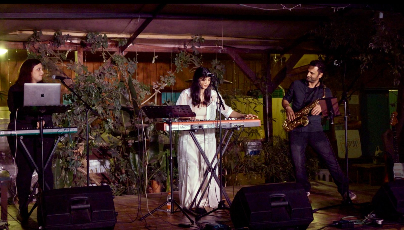 Tamar Meo performing
